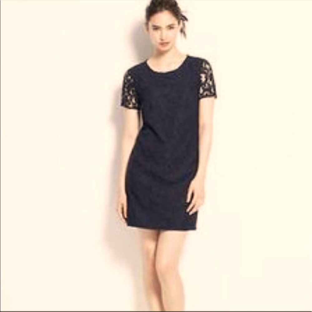 Ann Taylor Short Sleeve Lace Dress